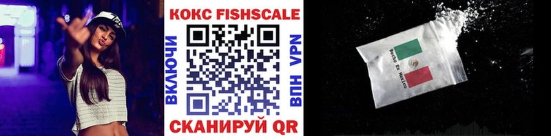 Купить закладки  Полярный  COCAIN FishScale 