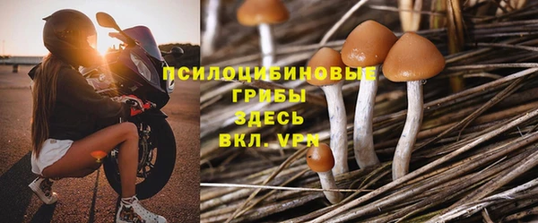 скорость Богородицк