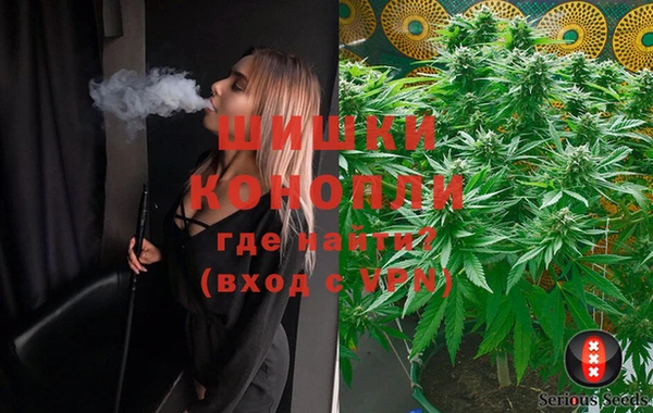 метадон Богданович