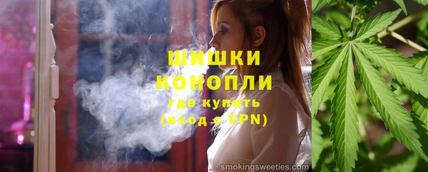 метадон Богданович