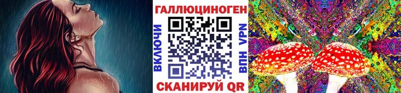 Псилоцибиновые грибы мицелий  Купить где  Полярный 